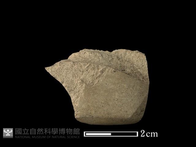 錛鑿形器藏品圖，第1張