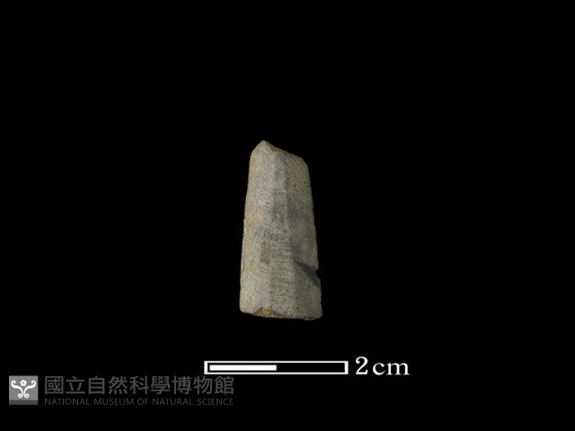 矛鏃形器藏品圖，第1張