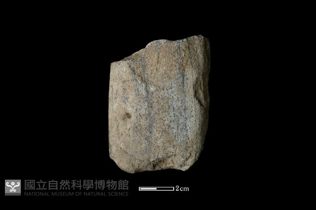 斧鋤形器藏品圖，第1張