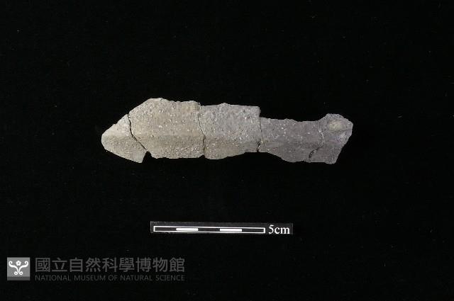 陶罐藏品圖，第2張