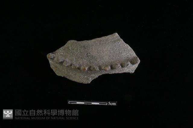 陶罐藏品圖，第1張