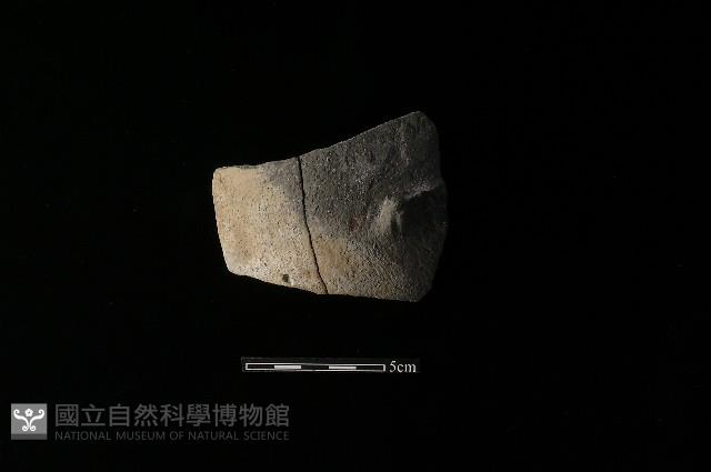 陶片藏品圖，第2張