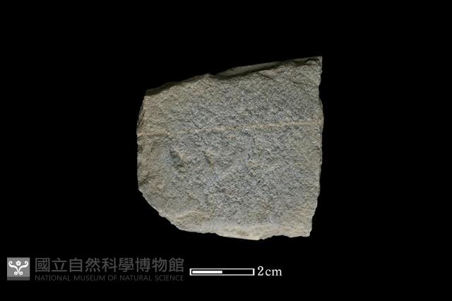 斧鋤形器藏品圖，第1張