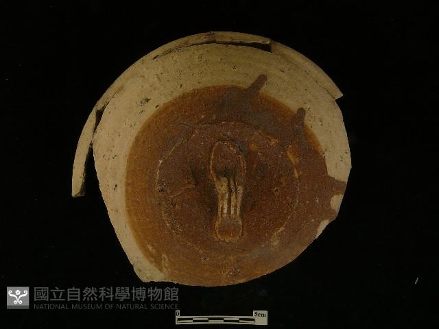 蓋藏品圖，第1張