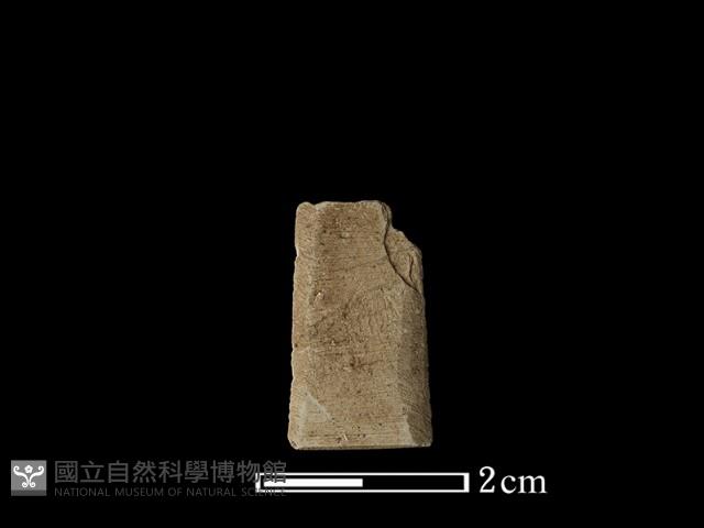 矛鏃形器藏品圖，第1張