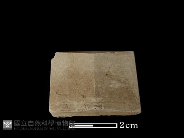 矛鏃形器藏品圖，第2張