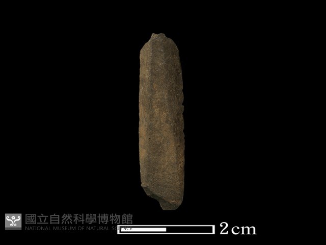 矛鏃形器藏品圖，第2張