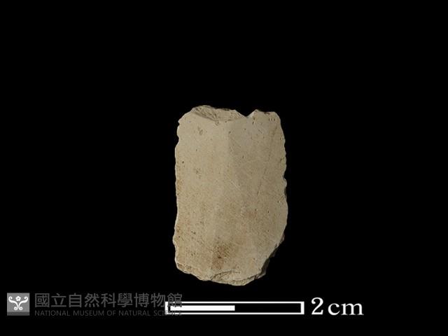 矛鏃形器藏品圖，第1張