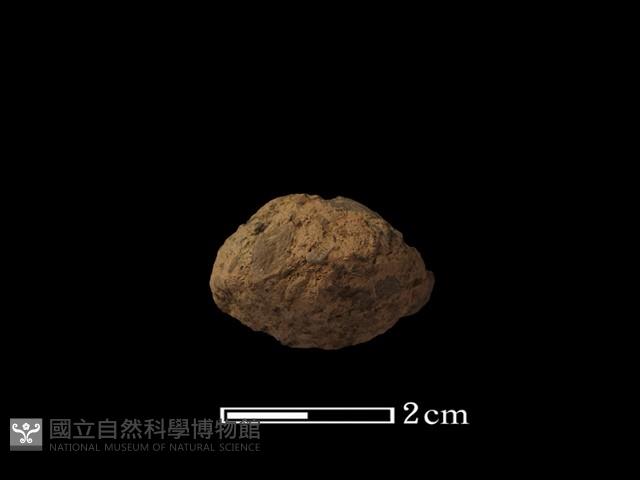 陶紡輪藏品圖，第2張