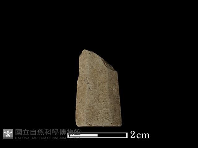 矛鏃形器藏品圖，第2張