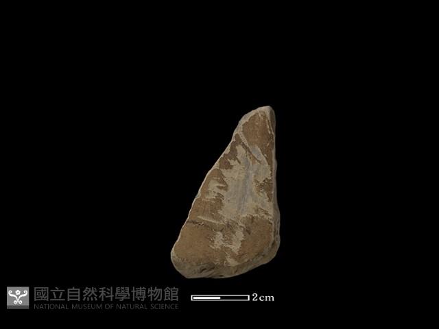 錛鑿形器藏品圖，第1張