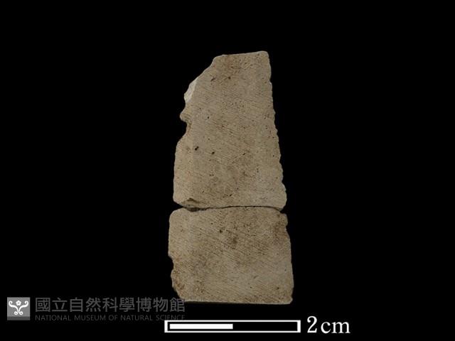 矛鏃形器藏品圖，第1張