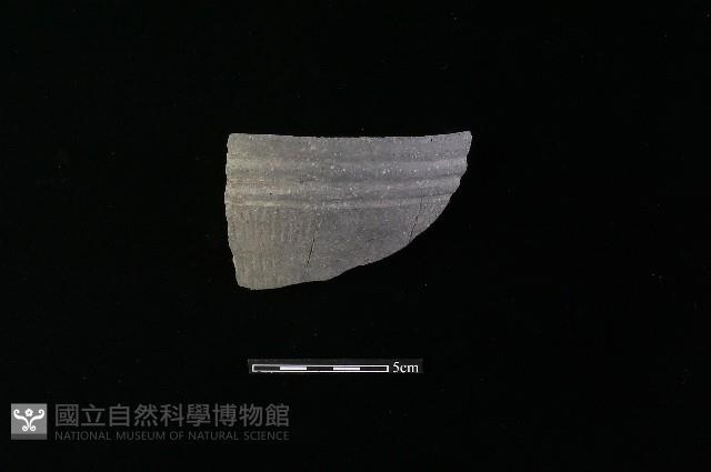 豆形器藏品圖，第1張