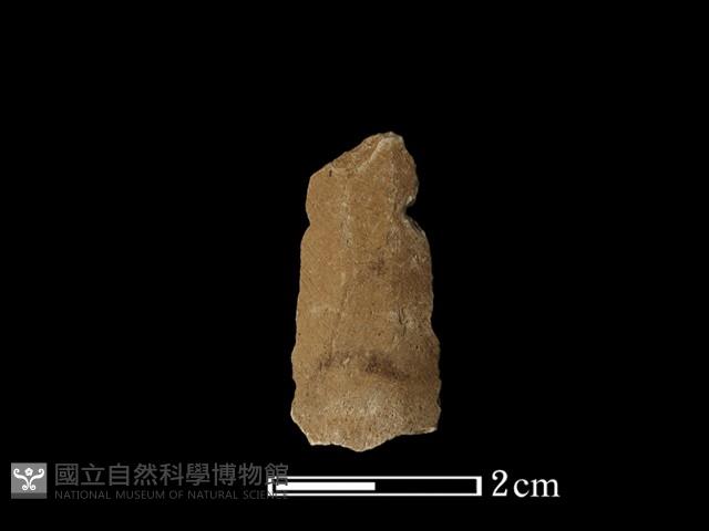 矛鏃形器藏品圖，第2張