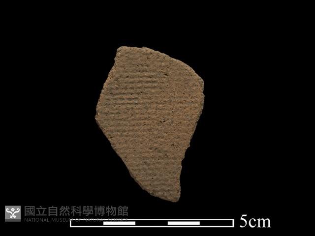 陶片藏品圖，第1張