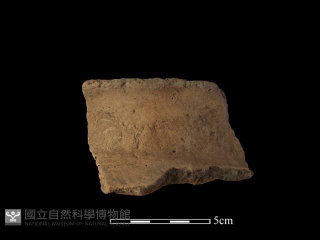 陶罐藏品圖，第1張