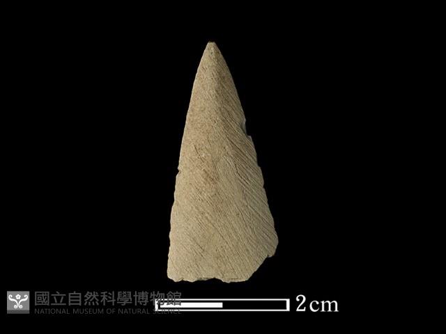 矛鏃形器藏品圖，第2張