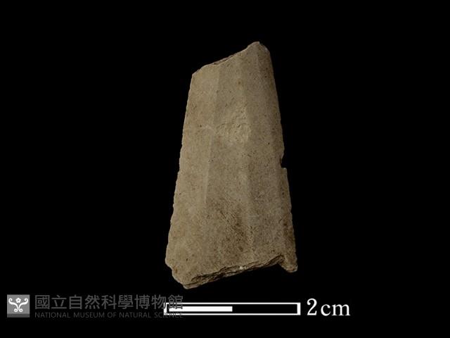 矛鏃形器藏品圖，第1張