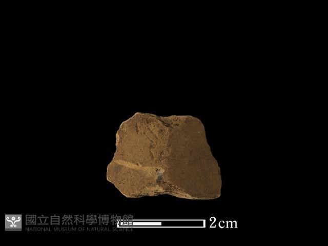 矛鏃形器藏品圖，第2張