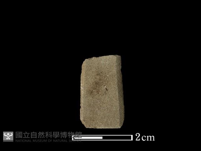 矛鏃形器藏品圖，第1張