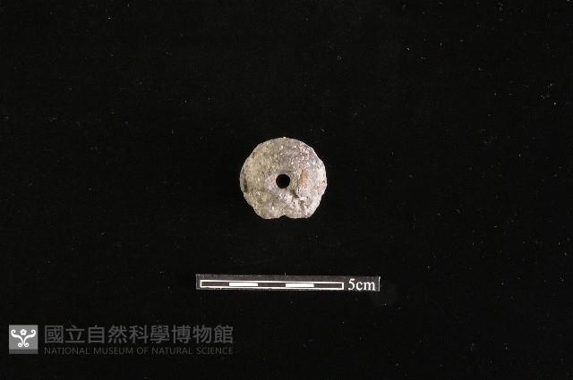 紡輪藏品圖，第1張