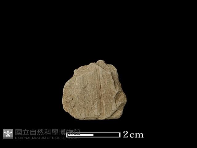 帶加工痕石材藏品圖，第1張