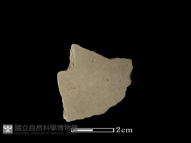 石刀藏品圖，第2張