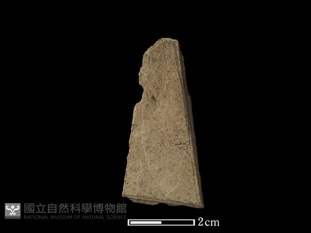 帶加工痕石材藏品圖，第2張