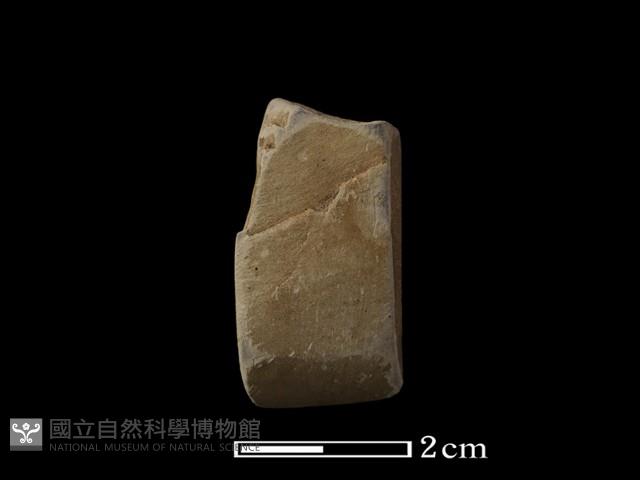 錛鑿形器藏品圖，第2張