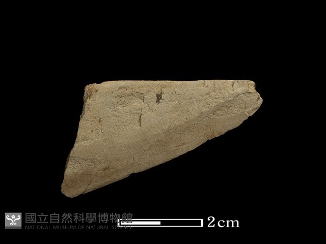 石刀藏品圖，第2張