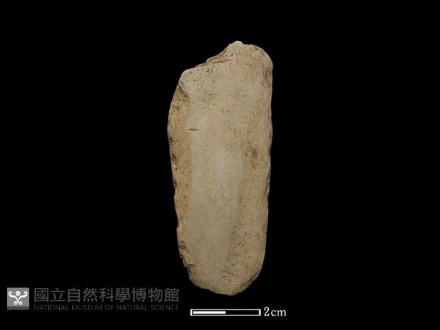 錛鑿形器藏品圖，第1張