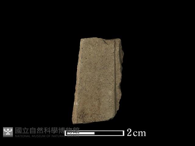 帶加工痕石材藏品圖，第2張