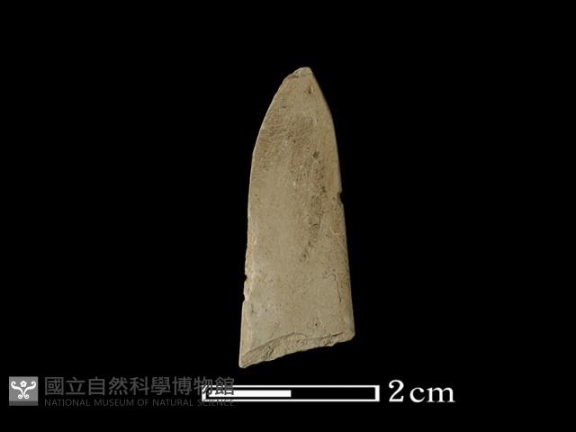 矛鏃形器藏品圖，第1張