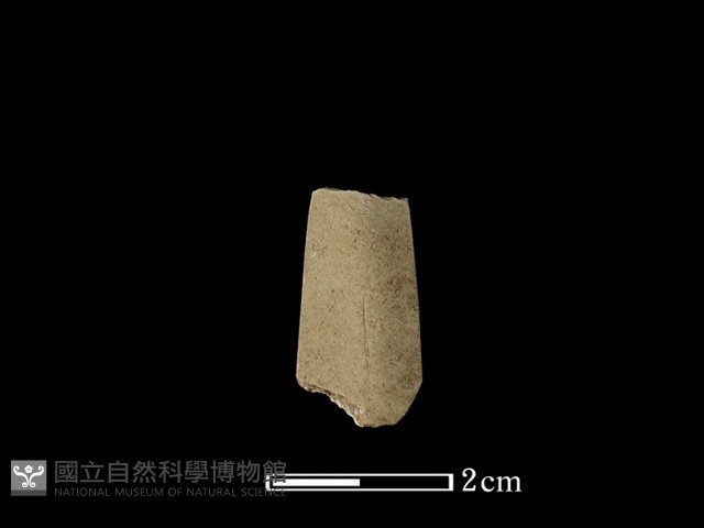 矛鏃形器藏品圖，第1張