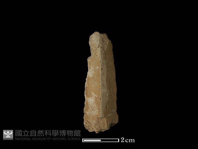 矛鏃形器藏品圖，第1張