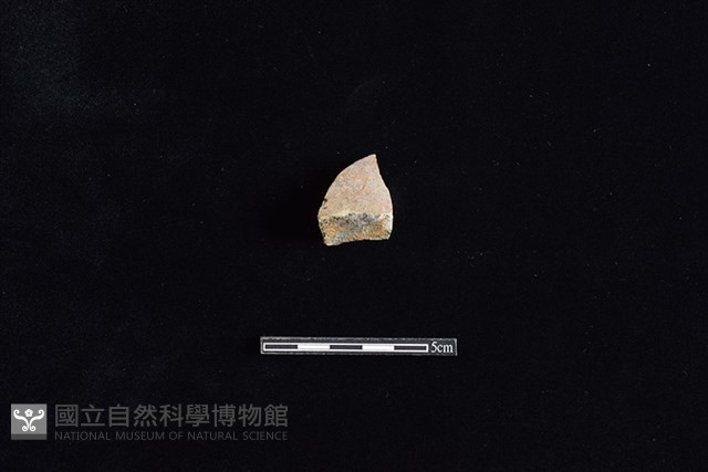 硬陶片藏品圖，第1張