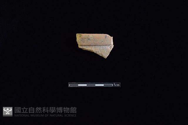 硬陶片藏品圖，第1張