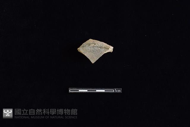 硬陶片藏品圖，第1張