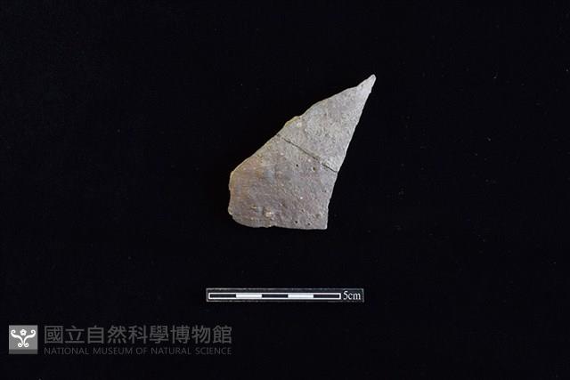 硬陶片藏品圖，第1張