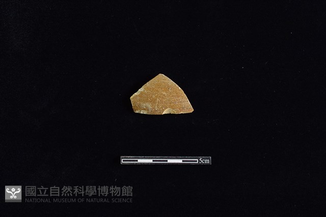 硬陶片藏品圖，第1張