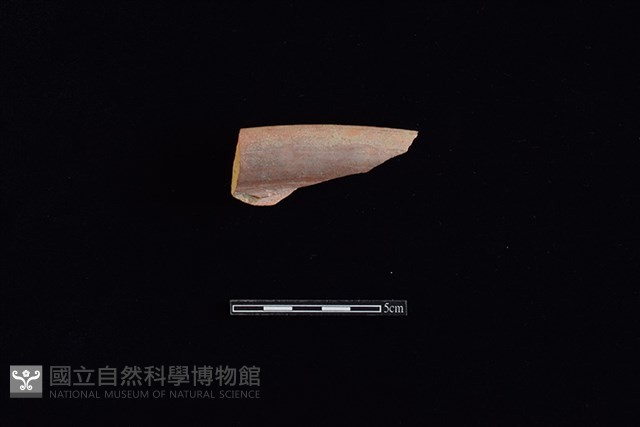 硬陶片藏品圖，第1張