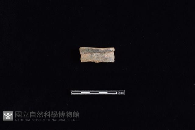 Accession Number:TCKYII-2016-SW014 Collection Image, Figure 1, Total 2 Figures