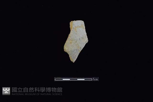 硬陶片藏品圖，第1張