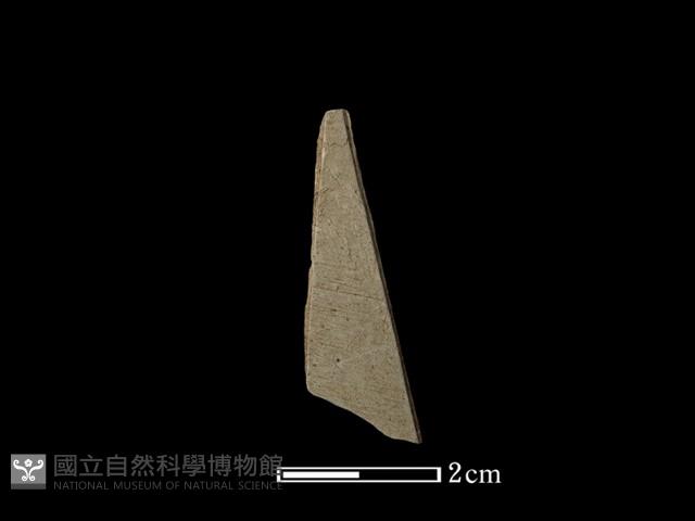 帶加工痕石材藏品圖，第1張