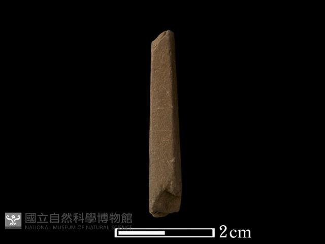 石針藏品圖，第2張