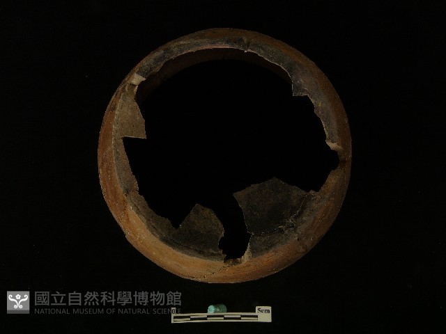 陶罐藏品圖，第4張