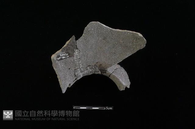 陶罐藏品圖，第4張