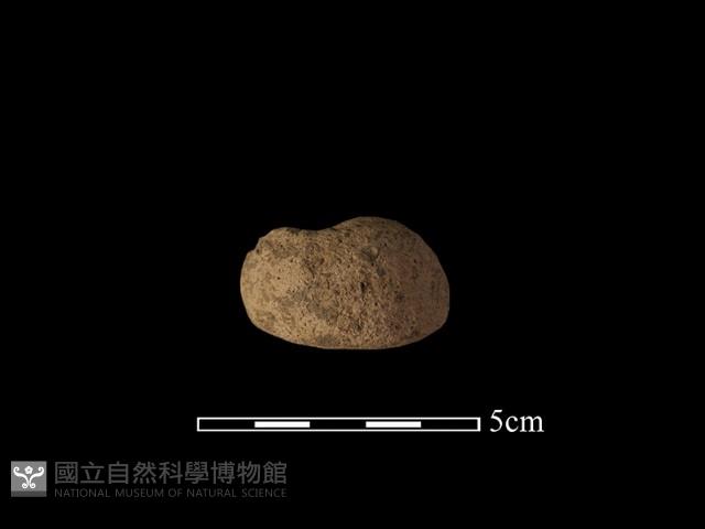 陶紡輪藏品圖，第1張