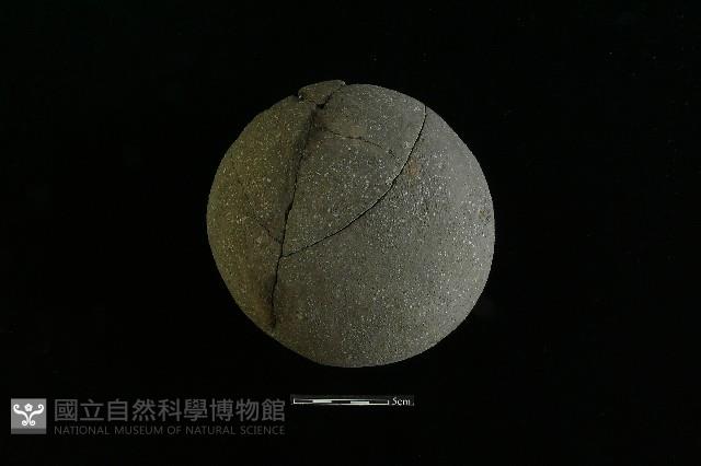 陶罐藏品圖，第3張