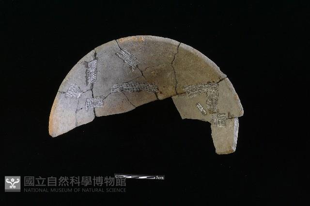 陶缽藏品圖，第1張